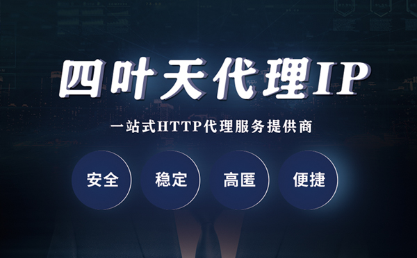 【大兴安岭代理IP】代理ip客户端使用教程